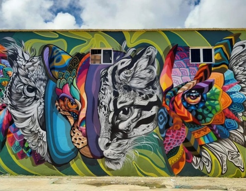 Gallery Of Street Art By Fio Silva - Argentina