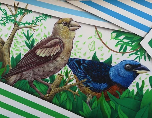 Galería de arte callejero de Nashi Bime - México