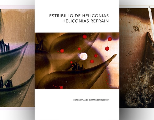 Estribillo de Heliconias | Fotos de Damaris Betancourt | Cuba