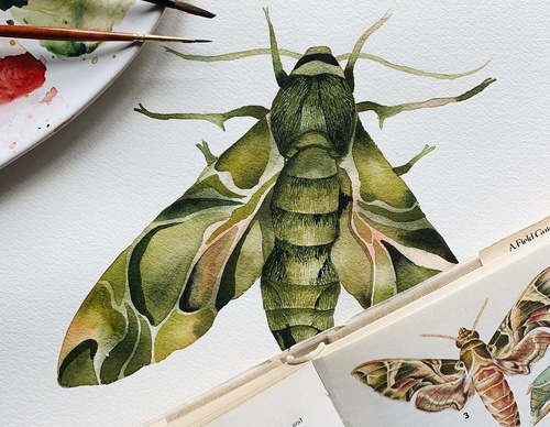 Gallery Of Painting By Rita Gould - United Kingdom
