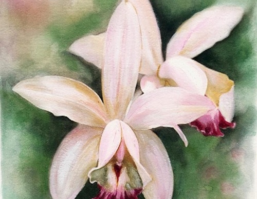 Galeria de Pintura de Silvia Trad - Portuguesa