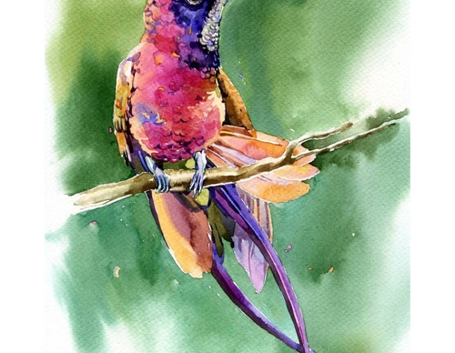 Gallery of Watercolor painting by Ekaterina Pahomova
