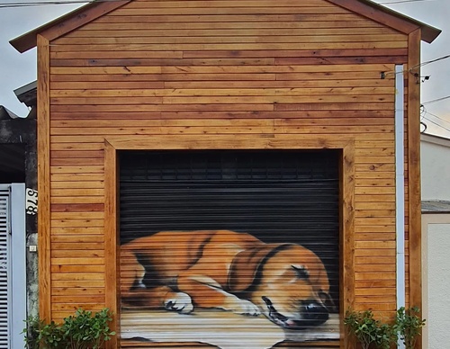 Gallery Of Street Art By Diego Forms - Brazil
