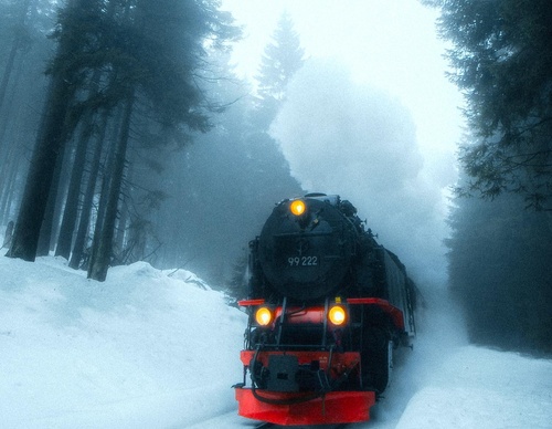 Gallery Of Photography By Luke - United Kingdom
