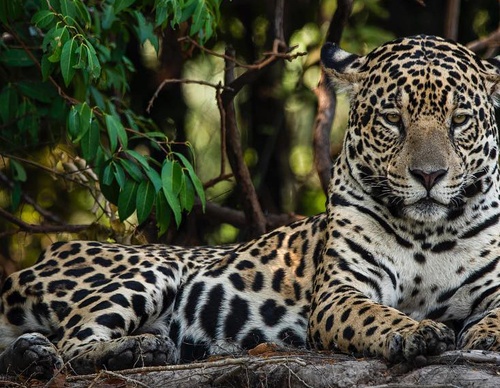 Gallery Of Photography By Fernando Faciole - Brazil