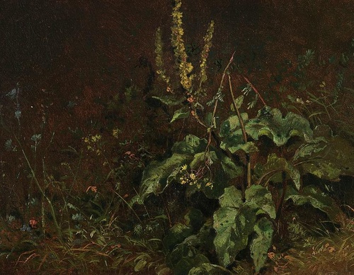 carl spitzweg
