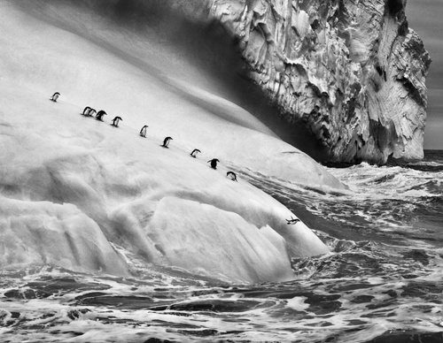 Galería de fotografía de Sebastião Salgado - Brasil