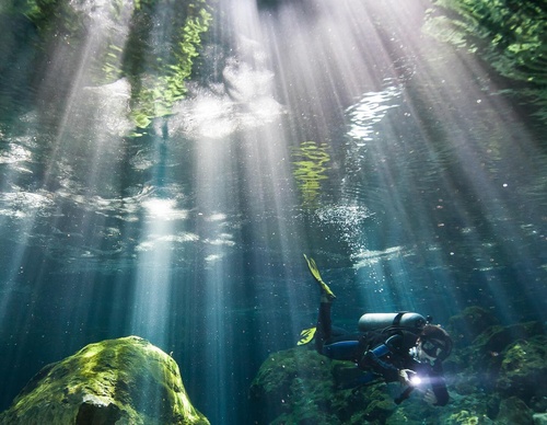 Gallery of Photography by Paul Nicklen - Canada