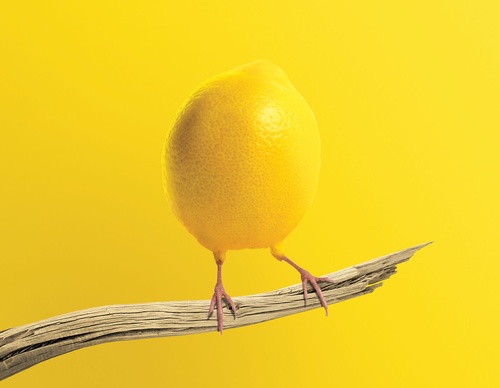 Galeria de Design Gráfico de Jose Navarro - Espanha