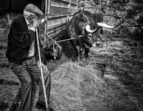 Gallery Of Photography By João Madureira - Portugal