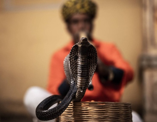 Gallery Of Photography By Hugo Santarem Rodrigues - Brazil