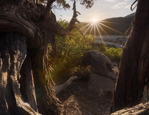 Gallery Of Photography By Rodrigo Viveros - Chile