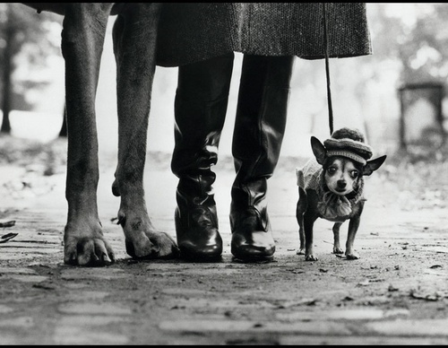 elliott erwitt