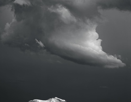Galeria de Fotografia de Isaac Spotts - EUA