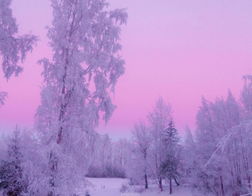 Gallery Of Photography By Patrick Thun - Alaska
