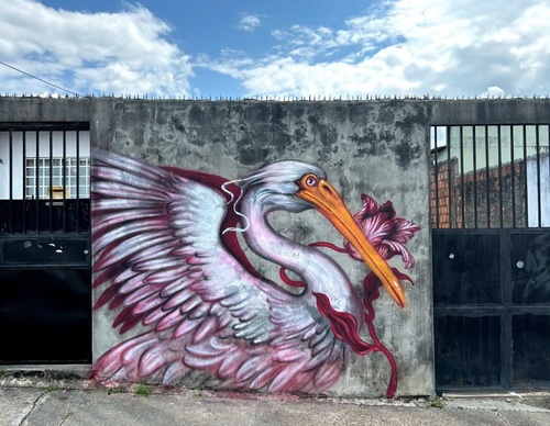 Gallery Of Street Art By Bailon - Brazil