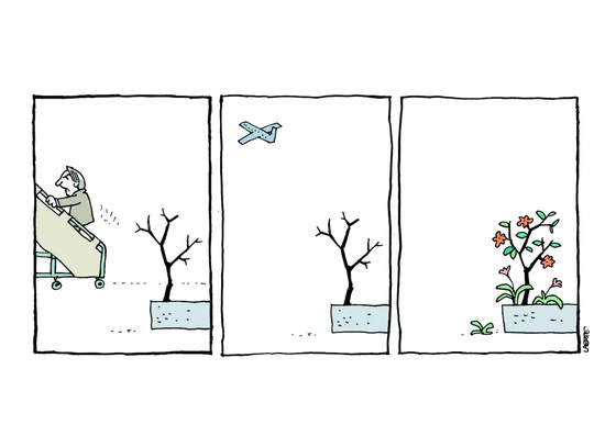 Laerte Coutinho