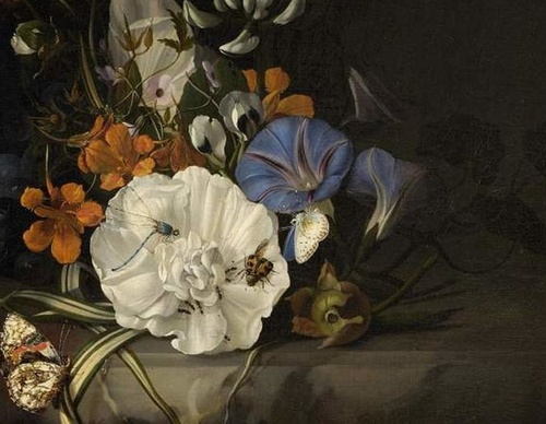 Galería de pintura de Rachel Ruysch, Países Bajos