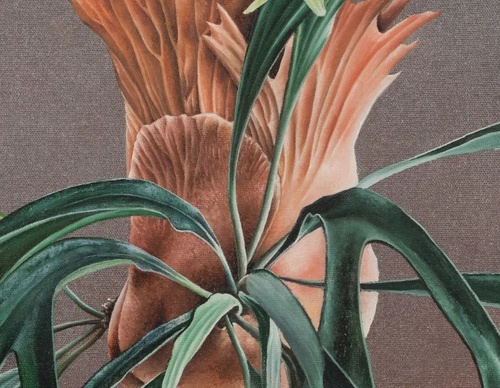 Gallery Of Visual Art By Carlo Batistella - Brazil