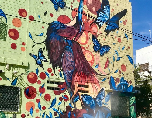 Gallery Of Street Art By Fio Silva - Argentina