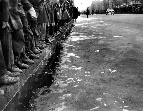 cornell capa