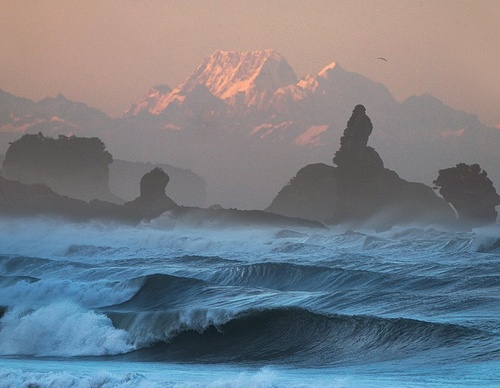 Galeria de fotografias de William Patino - Nova Zelândia