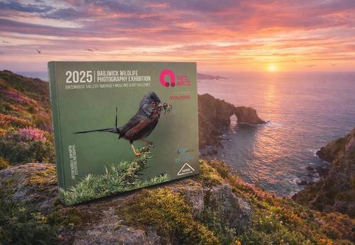 Exposição de Fotografia de Vida Selvagem 2025