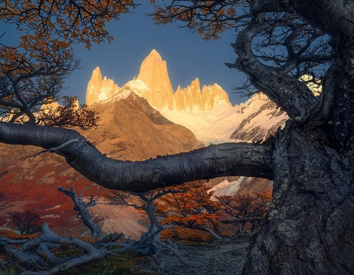 Galería de fotografía de Greg Boratyn - Argentina