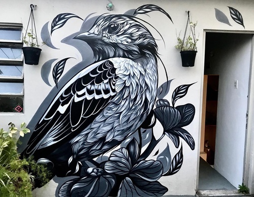 Gallery Of Street Art By Fio Silva - Argentina