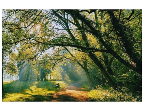 Gallery Of Photography By Daniel Casson - England