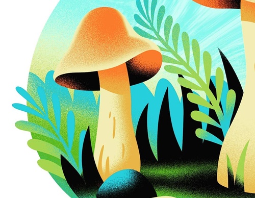 Gallery Of Illustration By Cat Finnie - England