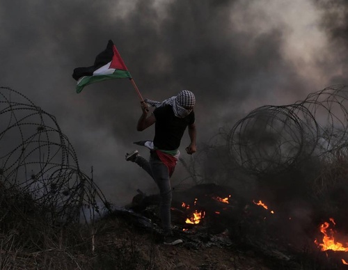 Galería de fotografías de Mohammed Zaanoun - Palestina