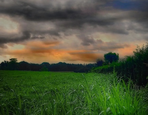 Gallery of Photography by Angela Petruzzelli - Italy