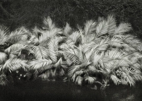 Gallery Of Photography By Cassio Vasconcellos - Brazil