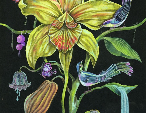 best illustrators