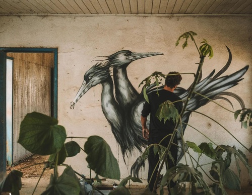 Gallery Of Street Art By Bailon - Brazil