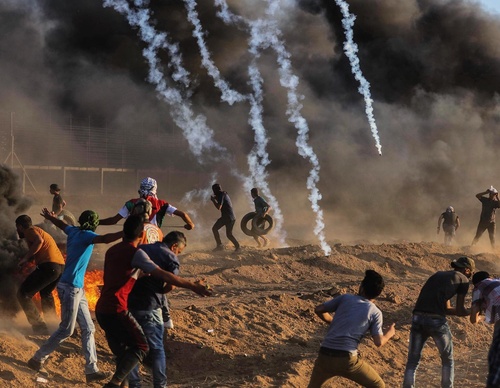 Gallery Of Photography By Wissam Nassar - Palestine