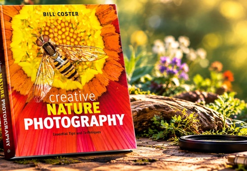 Fotografía creativa de naturaleza: consejos y técnicas esenciales