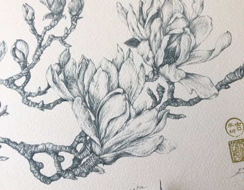 Gallery of Drawing by GiacoMina Ferrillo-Italy