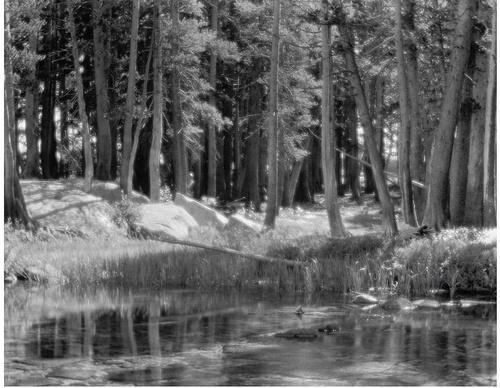 Gallery Of Photography By Ansel Adams - USA