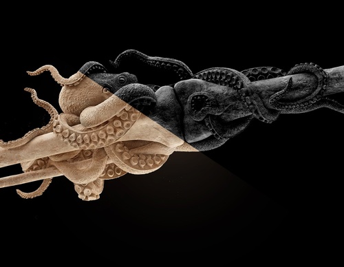 Gallery Of Graphic Design By David Rivera - Colombia