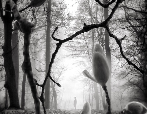 william smith
