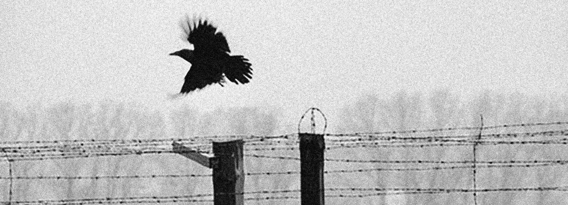 Gallery of Photography by Erich Hartmann – Germany