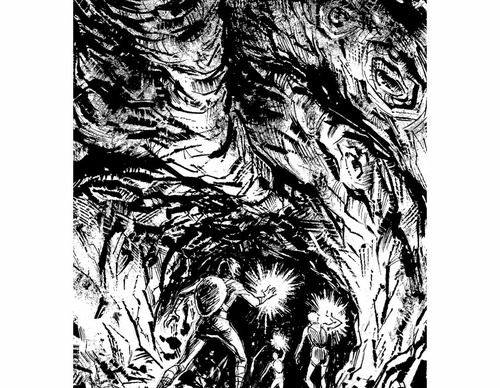 rodrigo rosa co brasil