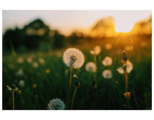 Gallery Of Photography By Daniel Casson - England