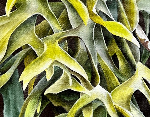 Gallery Of Visual Art By Carlo Batistella - Brazil