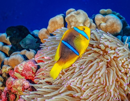 Gallery Of Photography By Cristina Goettsch Mittermeier - Mexico
