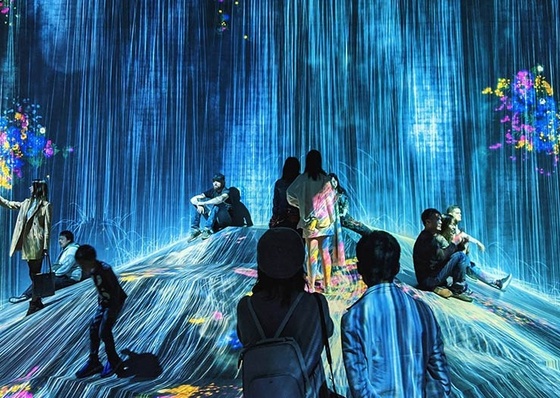 The Digital Arts Revolution