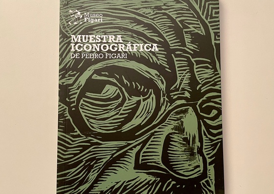 Catalog of the Iconographic Exhibition of Pedro Figari