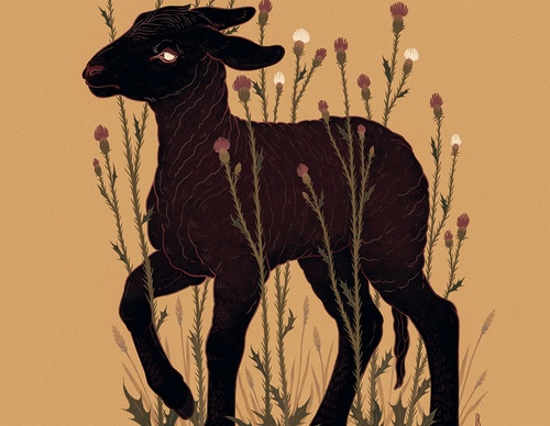 black lamb 840x11202x